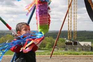 X1 - House on the Hill Standalone 1